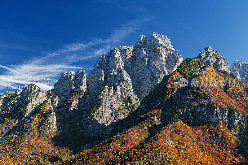 蒙塔兹山与Sella Somdogna，秋天落叶松，朱利安阿尔卑斯山，意大利，欧洲的观点